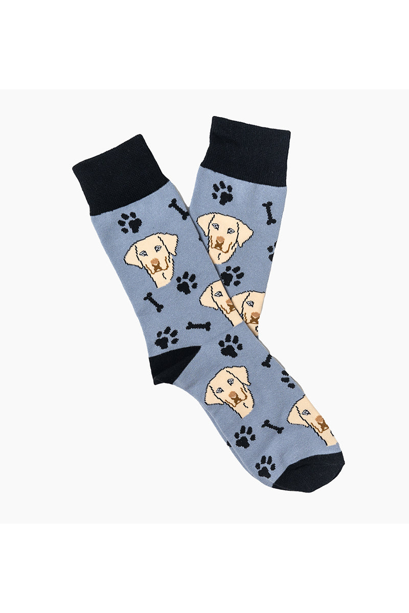 Dog socks, labrador socks, canine affection, dog lovers, comfortable