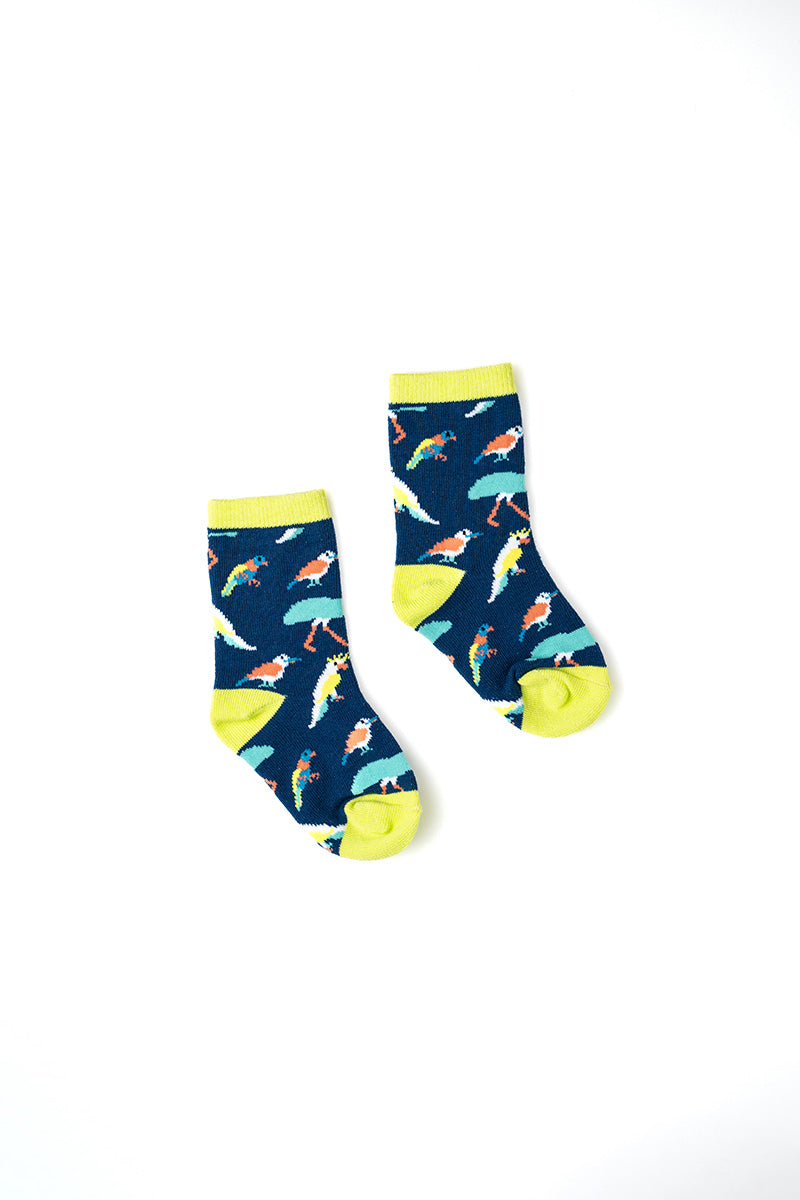 Kids - Australian Native Birds | Capital Socks Australia – CAPITAL SOCKS
