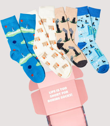 Canberra Icons Gift Pack - 4 Pairs - CAPITAL SOCKS