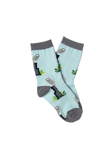 Kids - Belconnen Owl - CAPITAL SOCKS