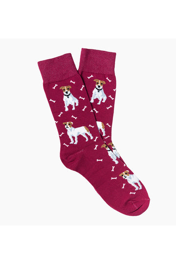 Jack Russell - CAPITAL SOCKS