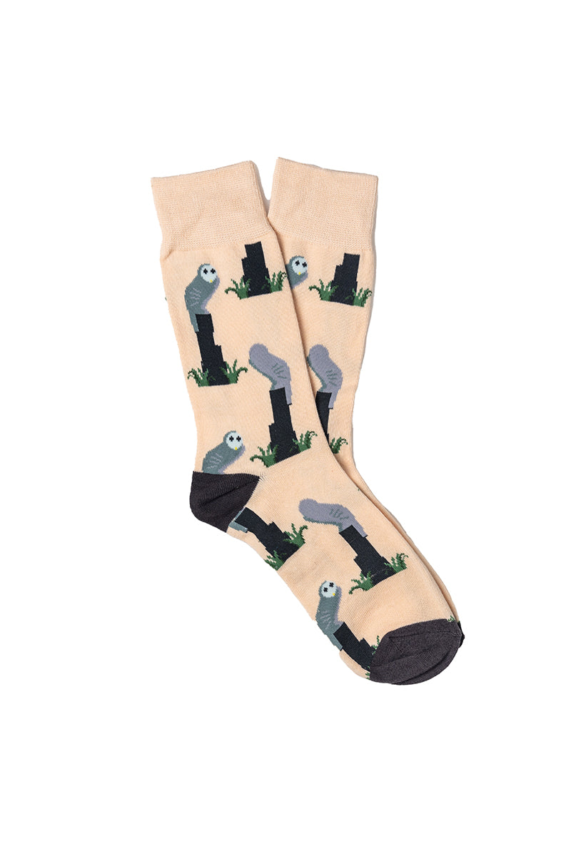 Belconnen Owl Belconnen Owl Socks Belco Owl Socks, Canberra Socks