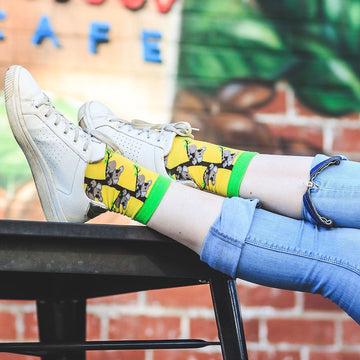 Koala Socks - CAPITAL SOCKS Australia